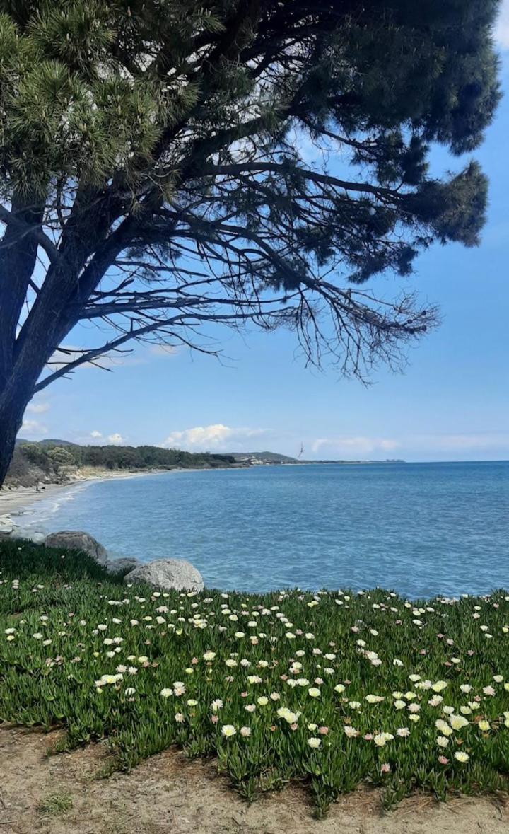 Vakantiehuis Avec Terrasse Et Vue Piscine, Proche Moriani Plage